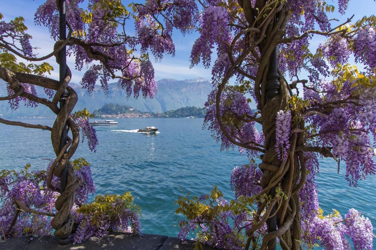 Belmonte Terrazzo Daire Pianello Del Lario Dış mekan fotoğraf